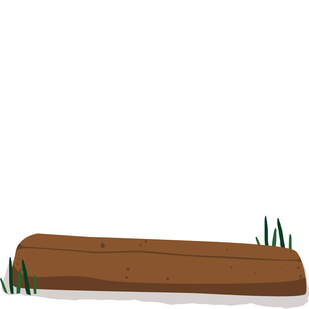 Plot